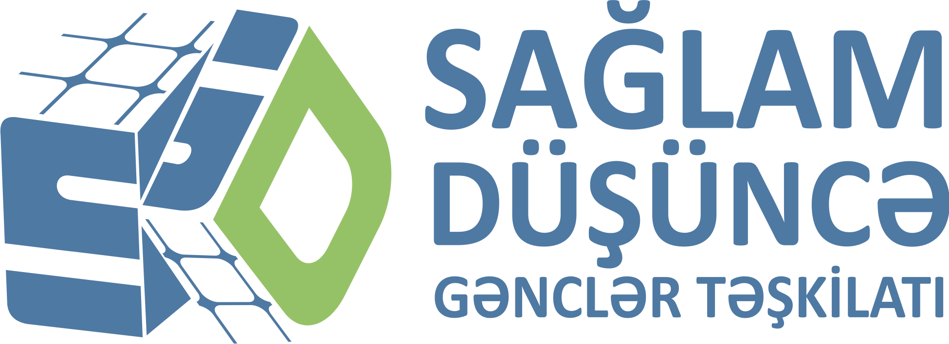 Common Sense Youth Organization