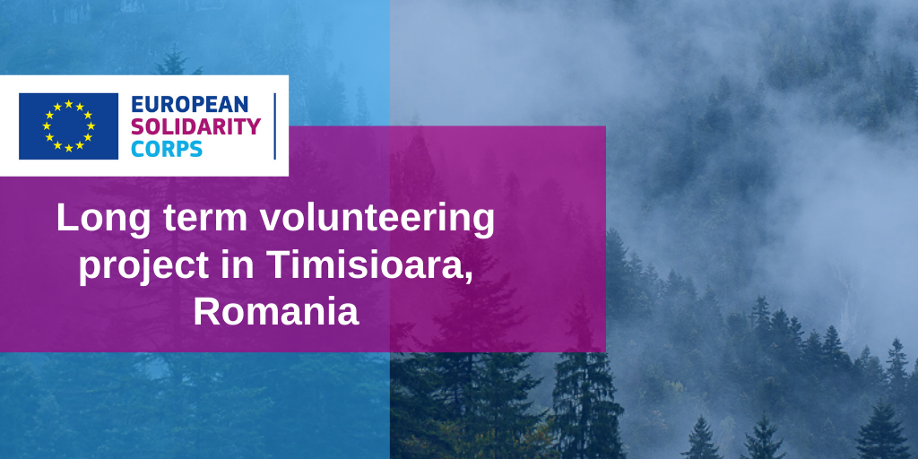 Long term volunteering project in Romania!
