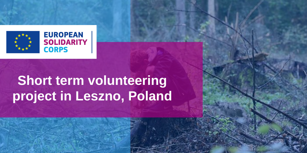 Short term volunteering project in Poland!