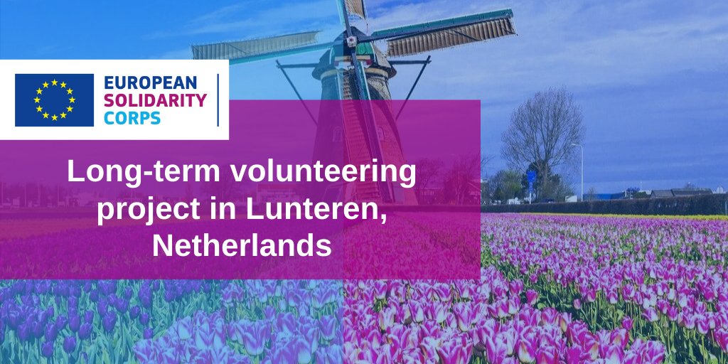 Long-term volunteering project in the Netherlands!