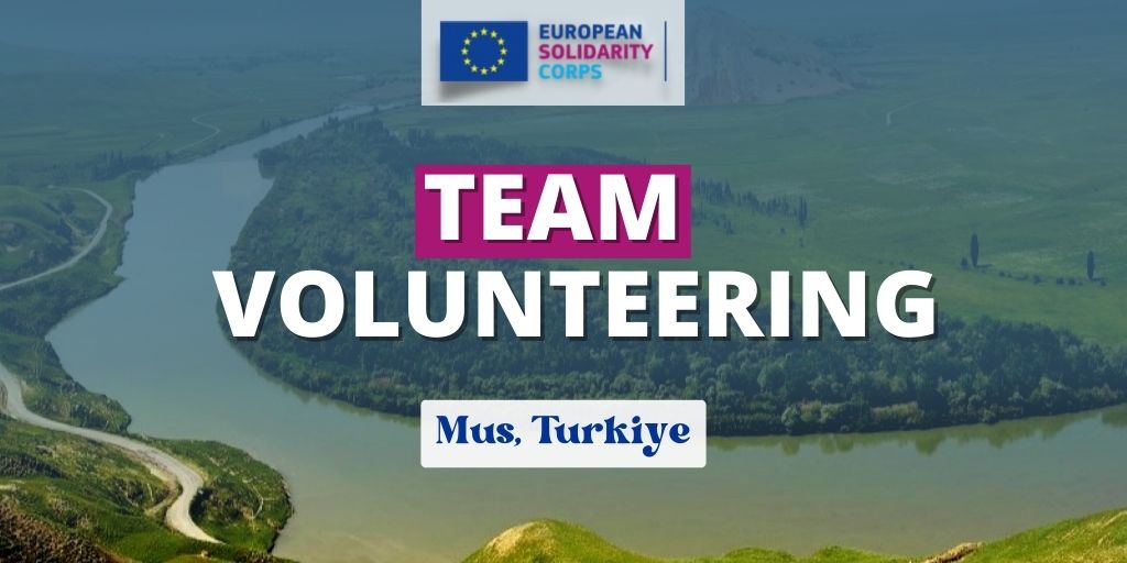 Team volunteering project in Turkiye!