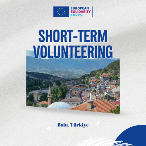Short-Term volunteering project in Türkiye