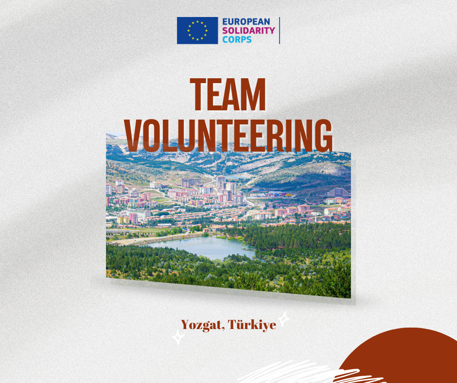 Team-volunteering project in Türkiye!