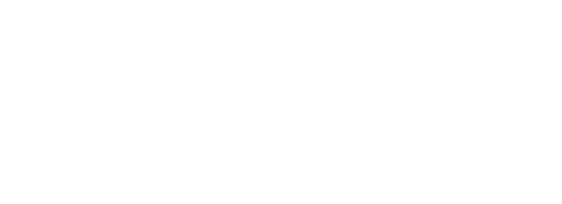 Sağlam Düşüncə Gənclər Təşkilatı