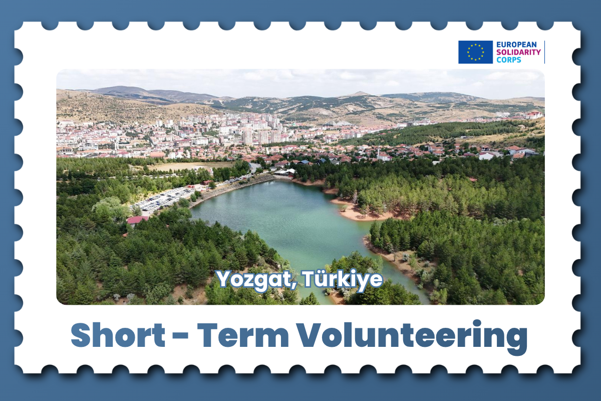 Short-Term Volunteering Opportunity in Türkiye